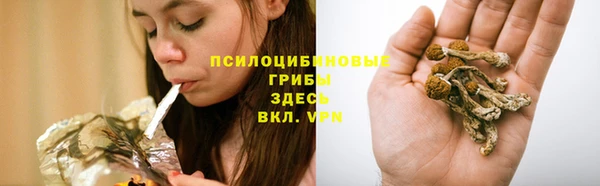 таблы Домодедово