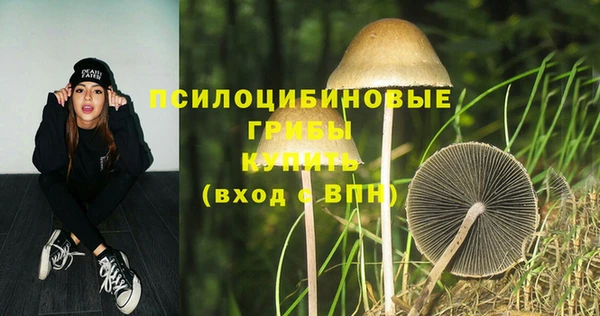 дмт Верхний Тагил
