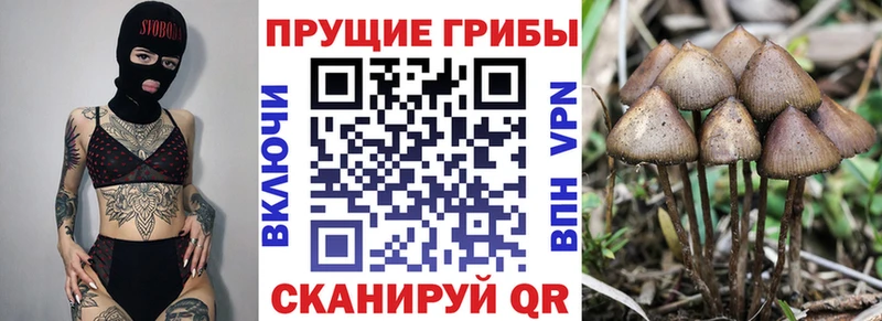 Псилоцибиновые грибы MAGIC MUSHROOMS  mega ONION  Волосово 